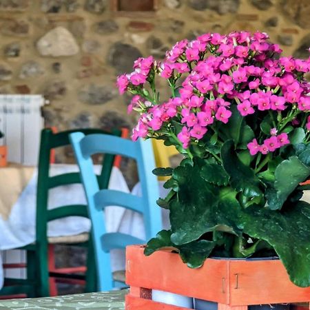 La Quinta Decima Bioagriturismo Fattoria Spedaletto ภายนอก รูปภาพ
