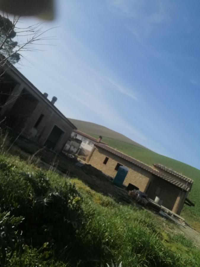 La Quinta Decima Bioagriturismo Fattoria Spedaletto ภายนอก รูปภาพ