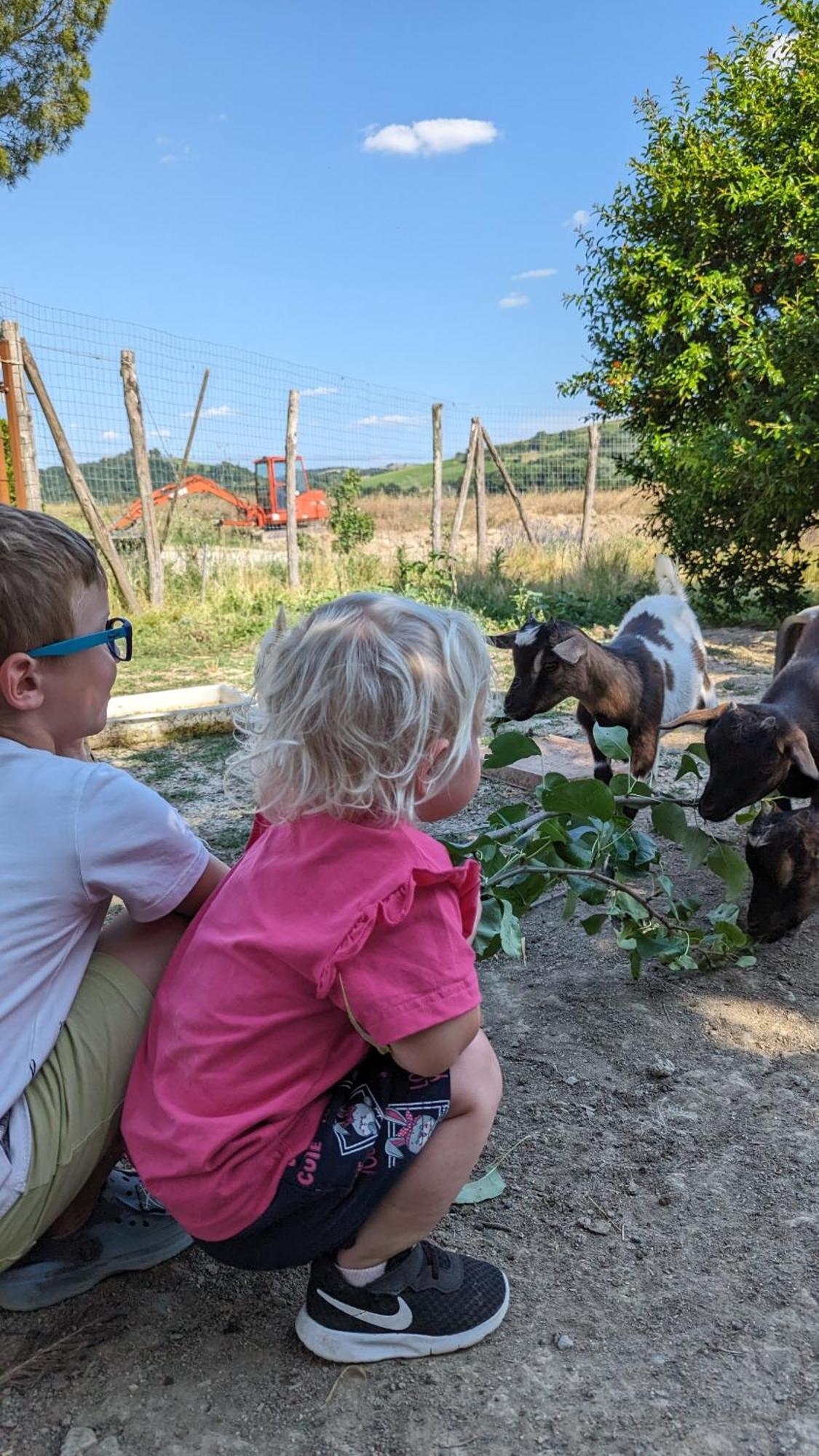 La Quinta Decima Bioagriturismo Fattoria Spedaletto ภายนอก รูปภาพ