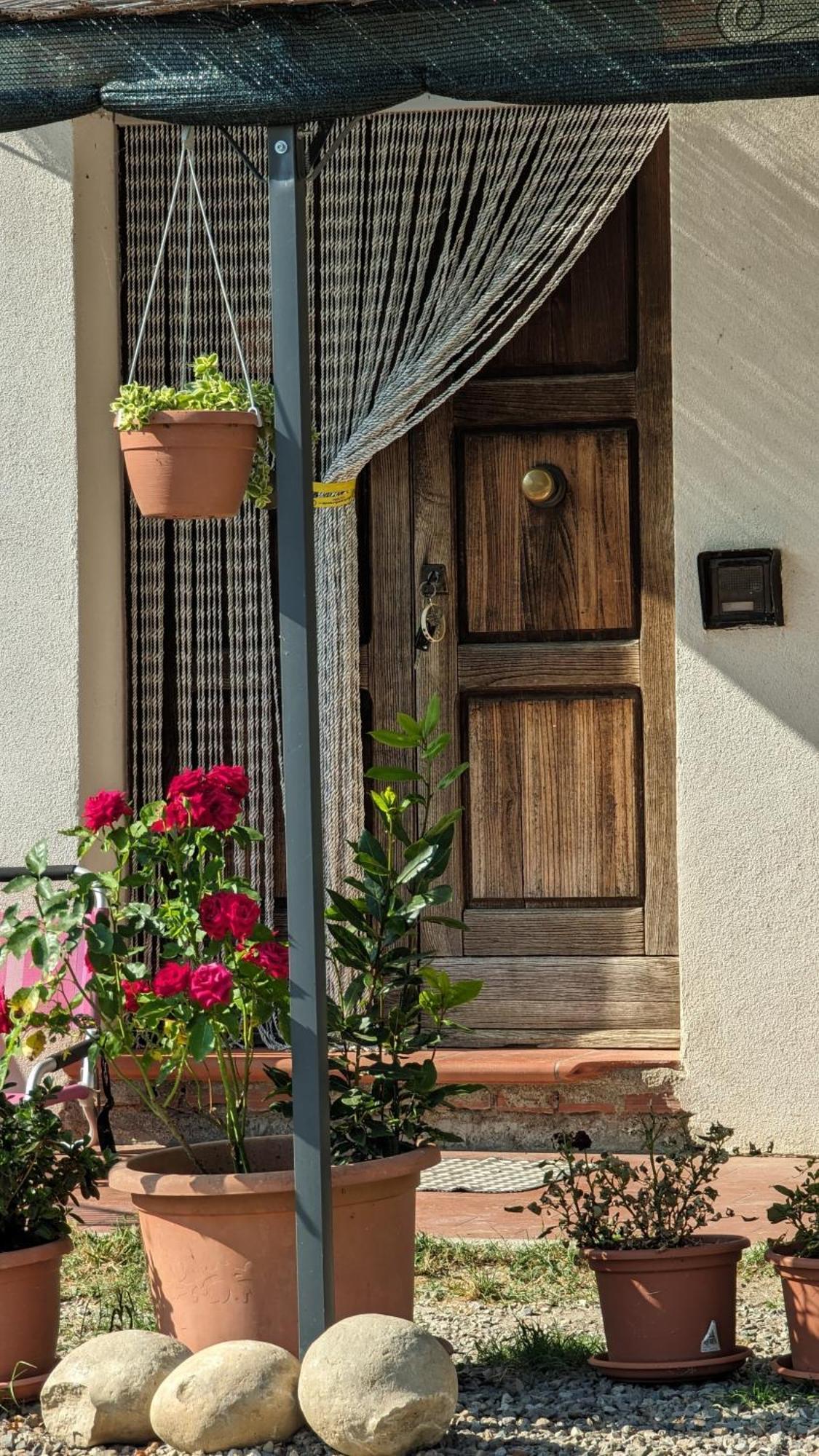 La Quinta Decima Bioagriturismo Fattoria Spedaletto ภายนอก รูปภาพ